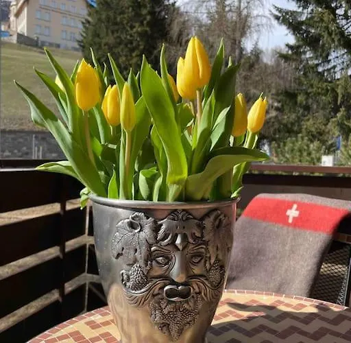 La Swiss Alps * Davos